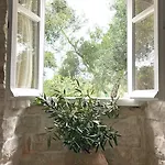Loukas House Paxos *
