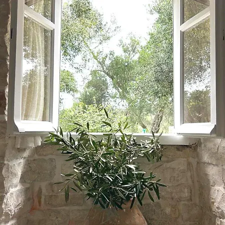 Loukas House Paxos *