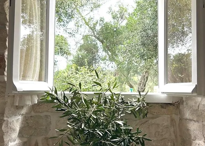 Loukas House Paxos *